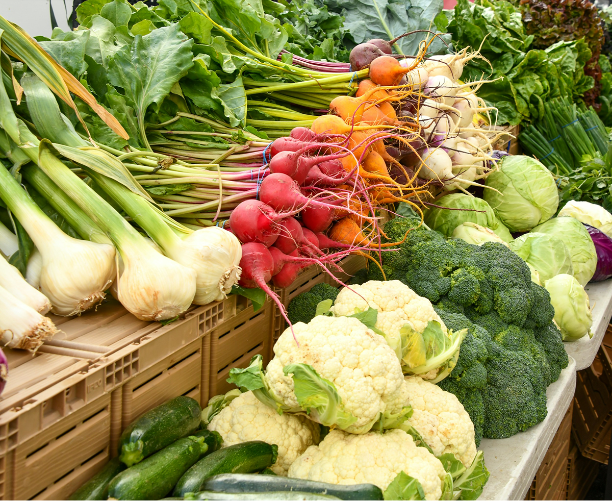 Headline inflation eases to 15.06% as monthly pressures rebuild